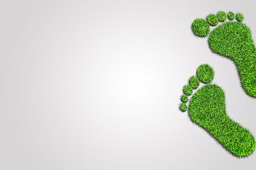 Vertedero a cielo abierto: un enemigo de la biodiversidad